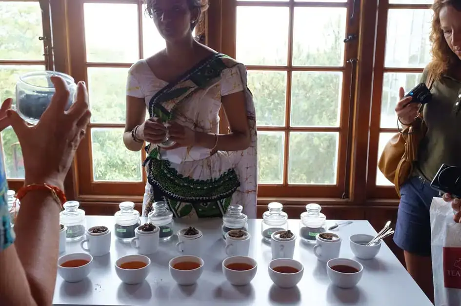 Tea Tasting - Ceylon Tea Museum, Kandy