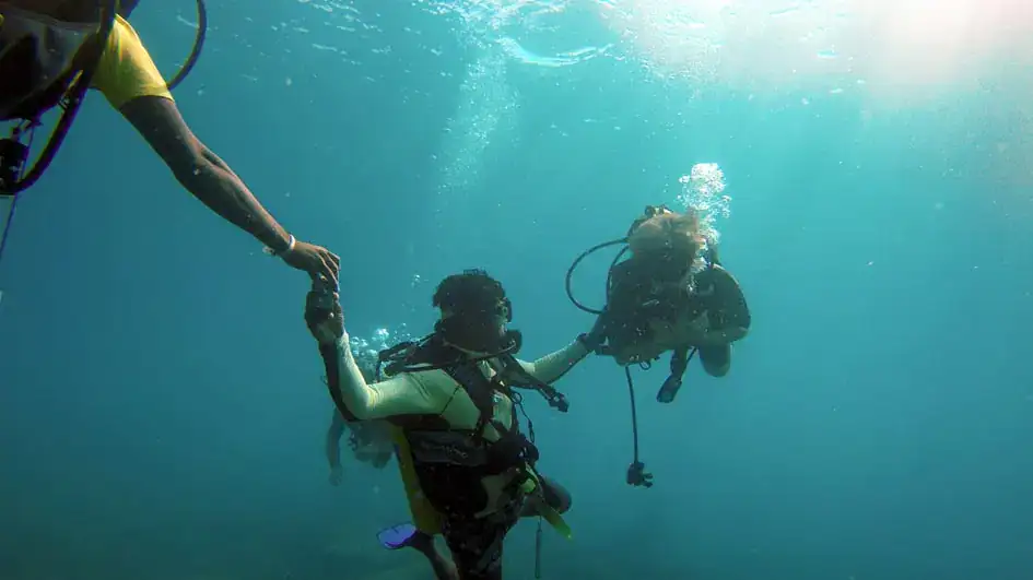 The diving team