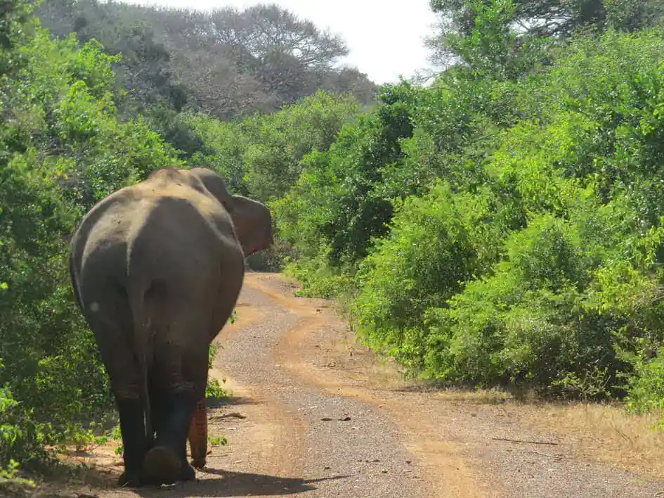 A road block