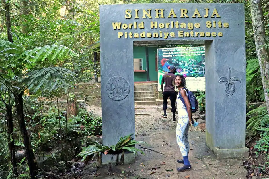 Pitadeniya Entrance - Sinharaja Forest Reserve