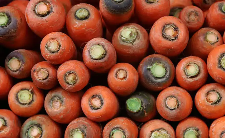 The Art of Carrots in the Kandy Market