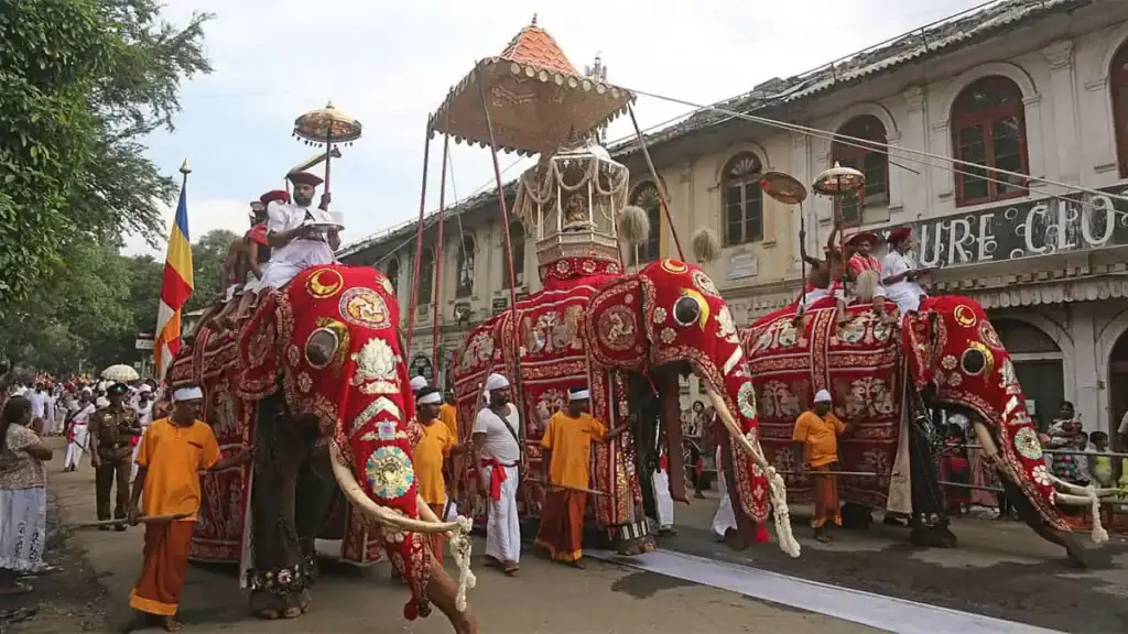 Perahera in Sri Lanka: A Guide to the Island’s Most Spectacular Cultural Processions