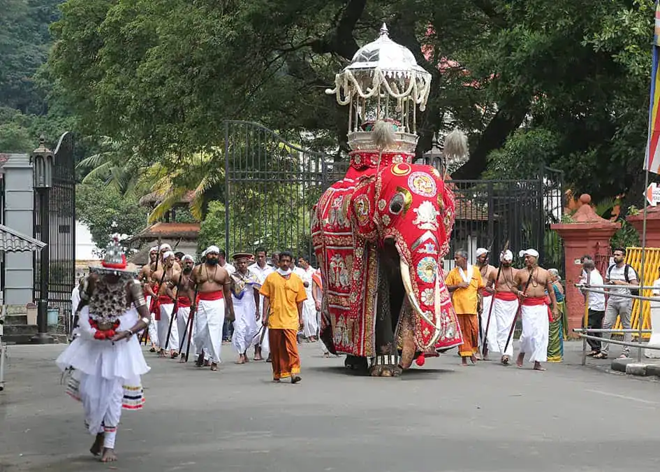 The ceremonial Tusker with the Buddha's Tooth Relic casket