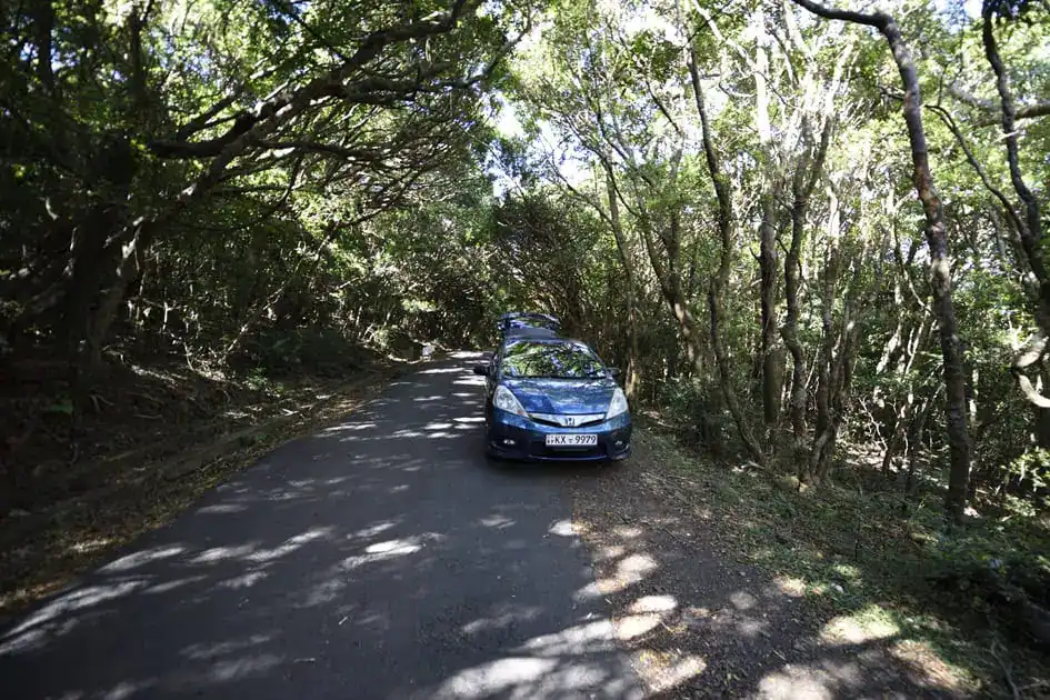 Our rented car under the tree canopy in Riverston, Matale