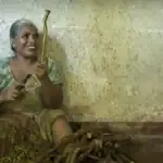 A Sri Lankan Cinnamon Peeler