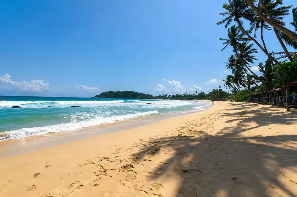 A sunny day - Mirissa
