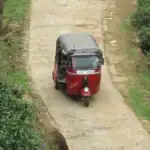 A tuk-tuk through tea plantations