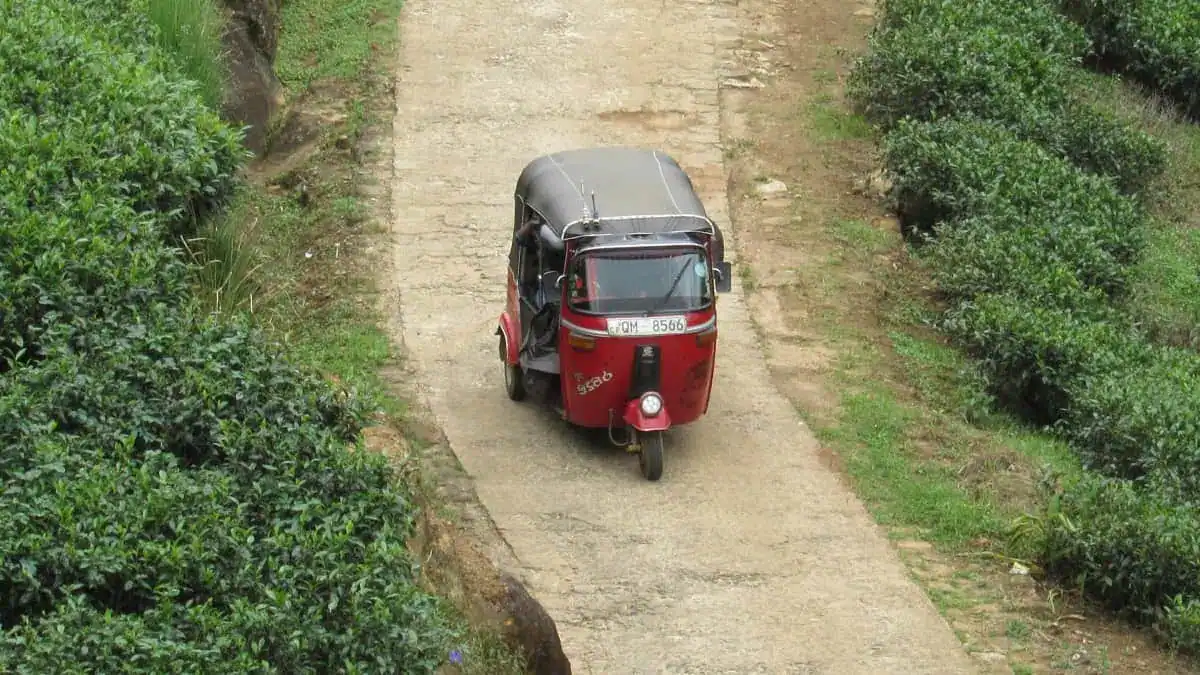 A tuk-tuk through tea plantations