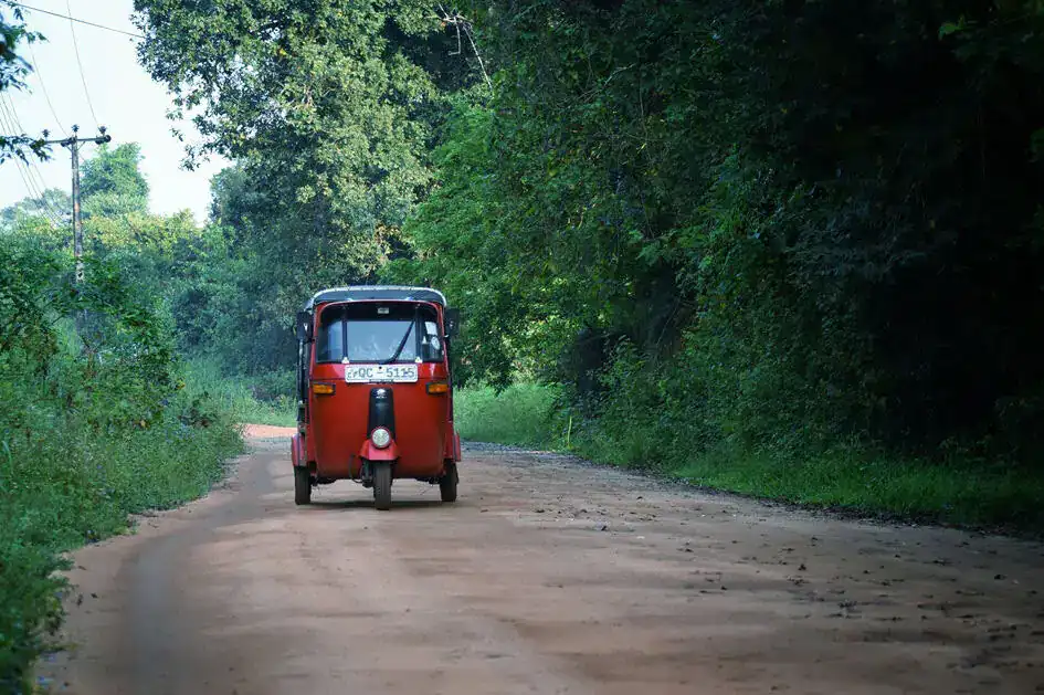 Along a village road near Sigiriya
