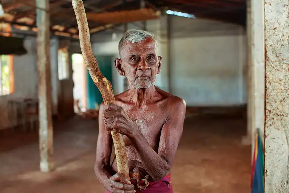 An Old Cinnamon Pealer