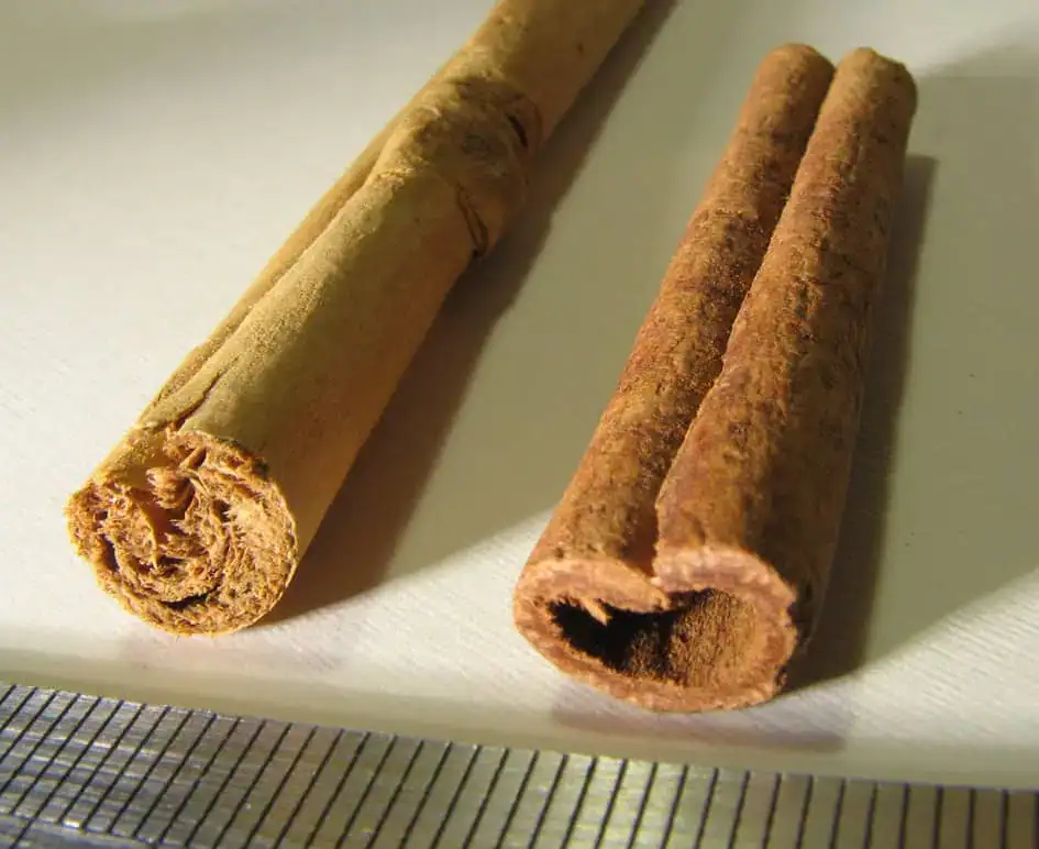 Ceylon Cinnamon vs Cassia