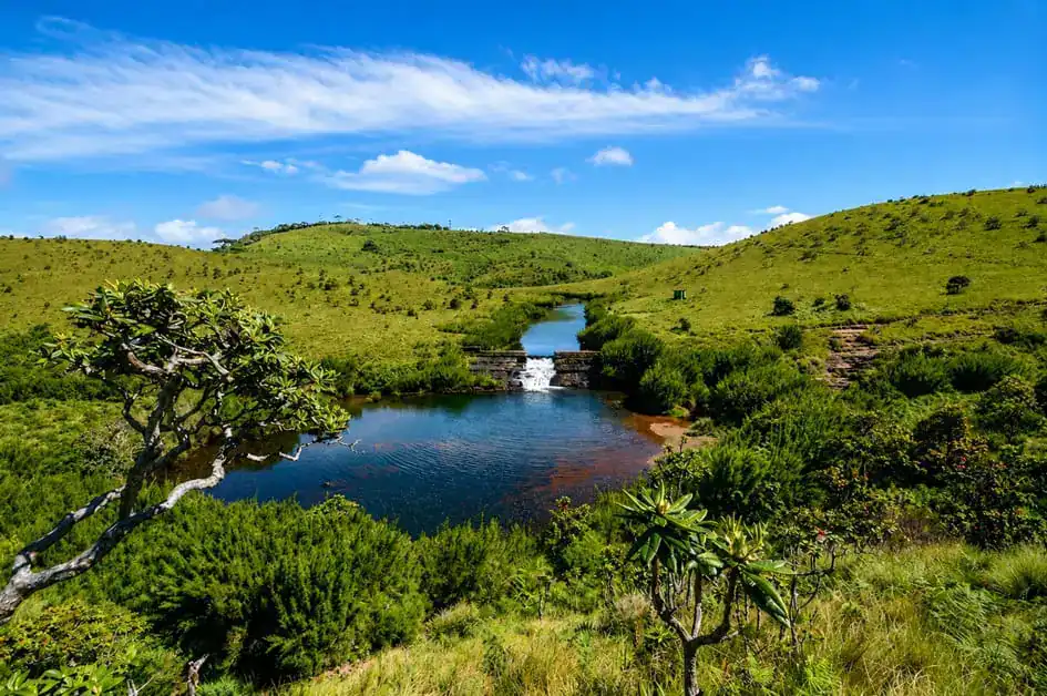 Chimney Pond – Horton Plains National Park