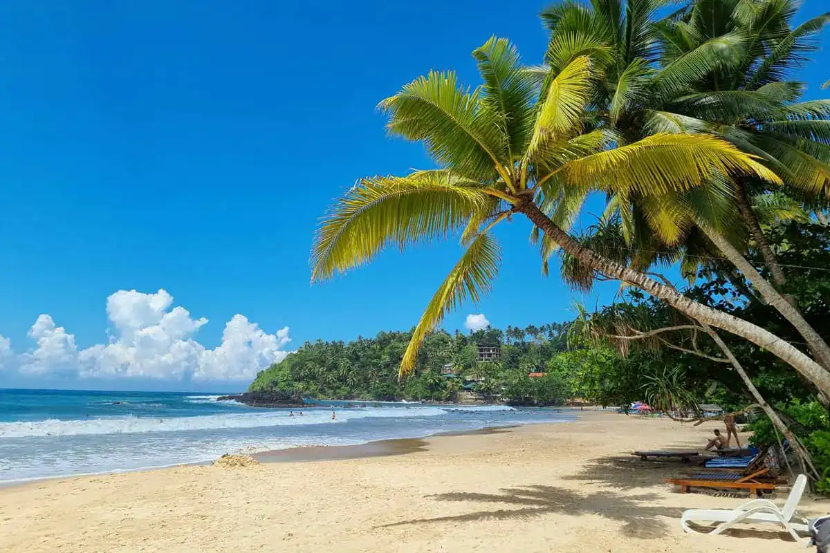 Golden sand and tropical coastline at Mirissa Beach in Sri Lanka