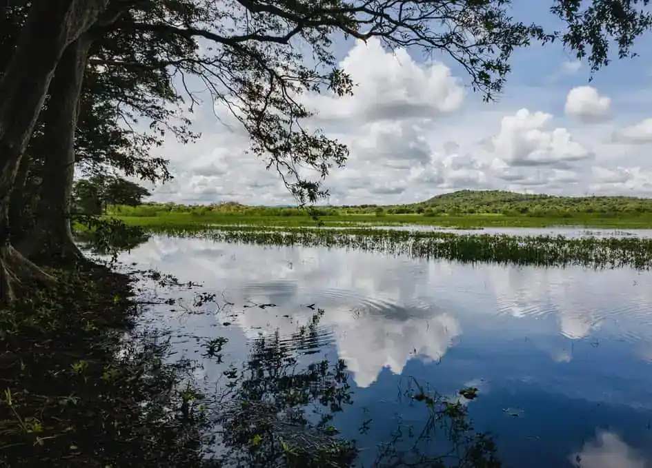 Habarana Lake