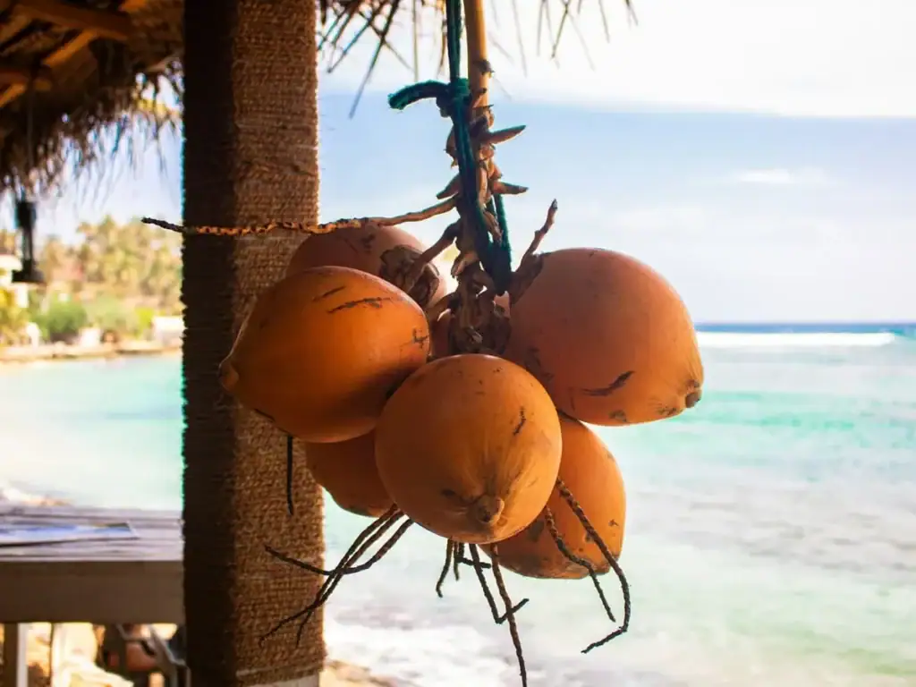 King Coconuts in Mirissa