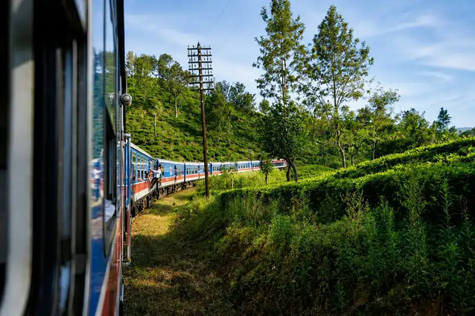 Nanu Oya to Ella Train Ride through Tea Plantations