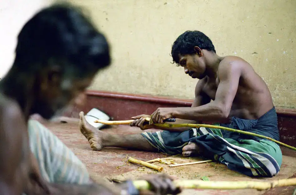 Peeling Cinnamon