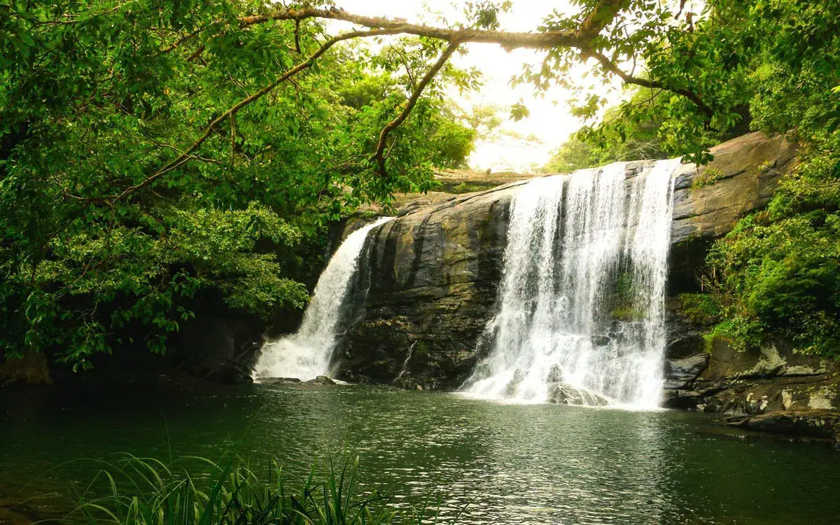 Sera Falls surrounded by lush greenery in Sri Lanka