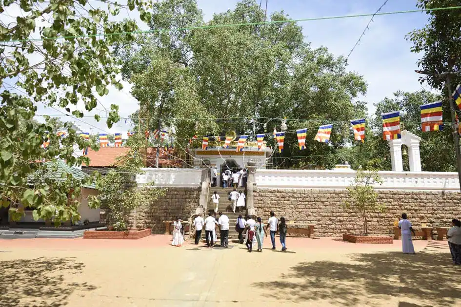Sri Maha Bodhi Tree - Anuradhapura