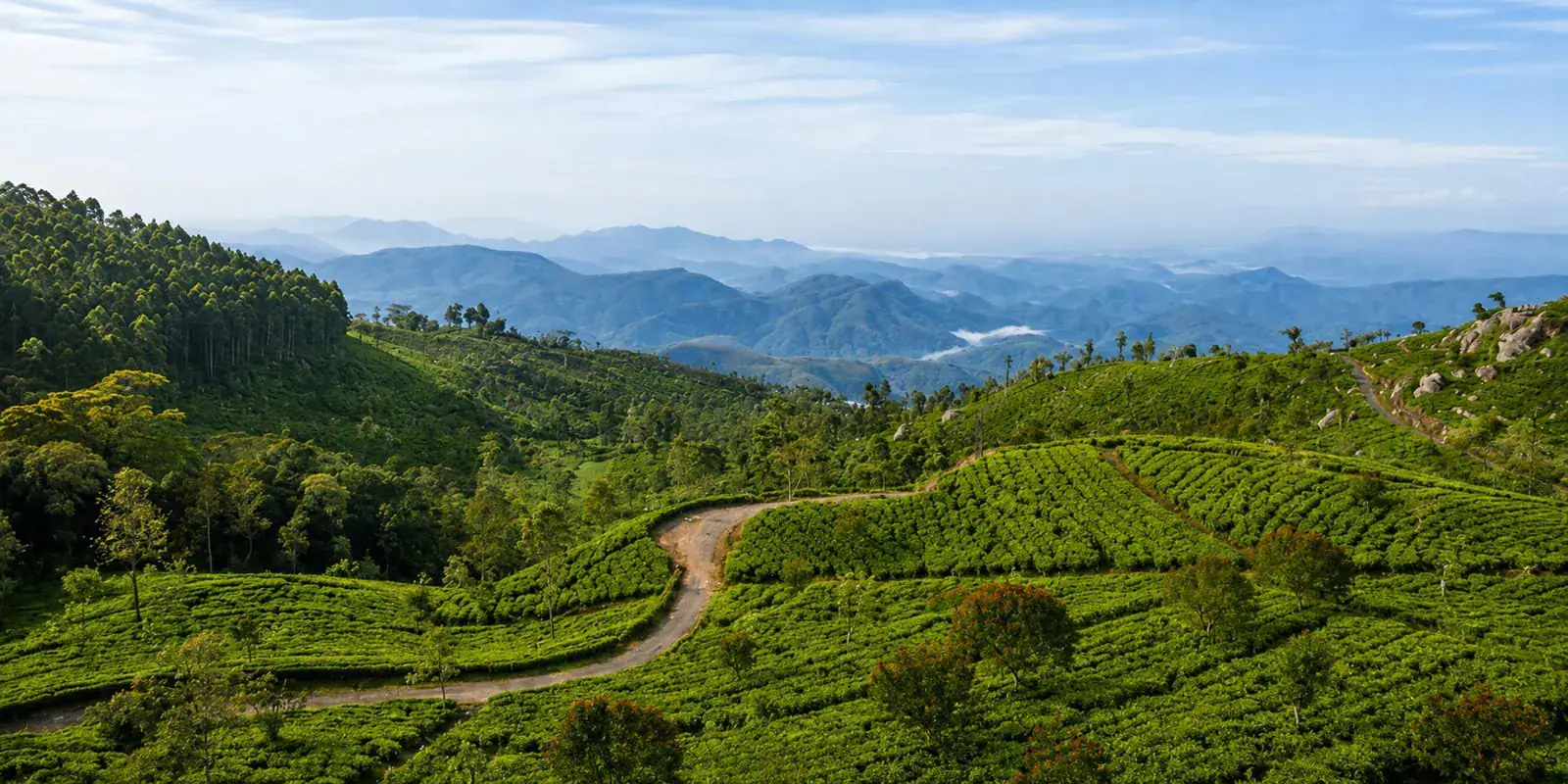Sri Lanka travel through the tea country of Haputale