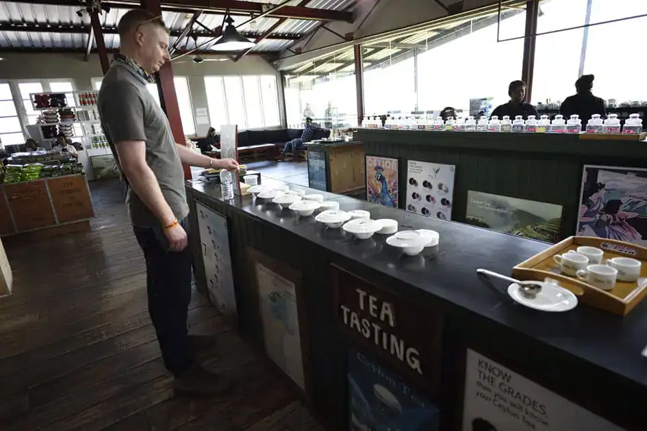 Tea Tasting - Uve Halpewatte Tea Factory, Ella