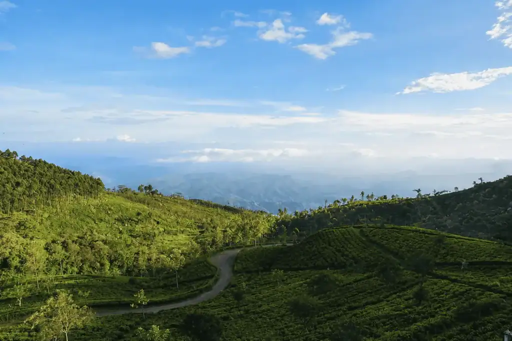 The View from Haputale