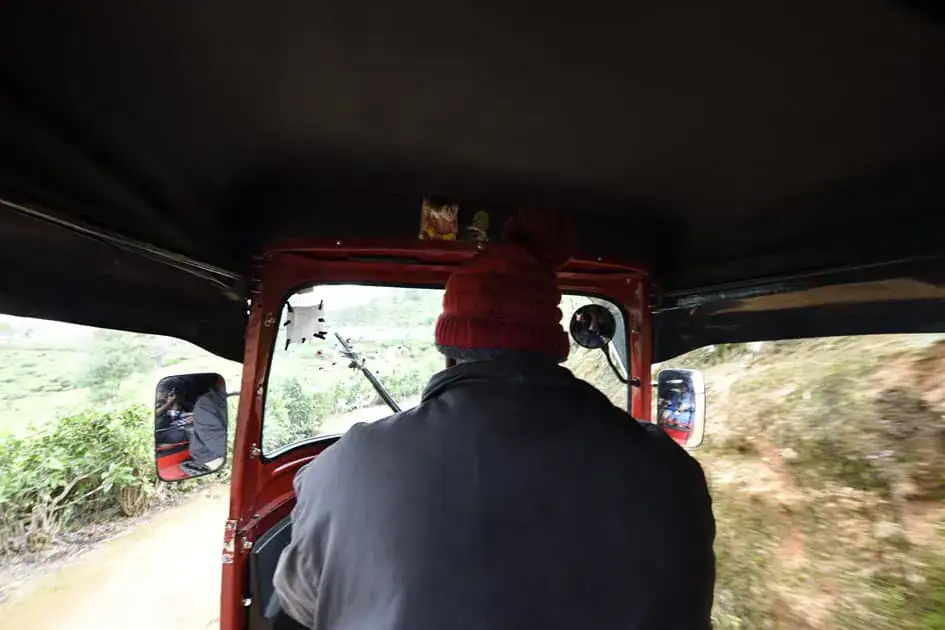 Through tea plantations to Lovers Leap Falls, Nuwara Eliya