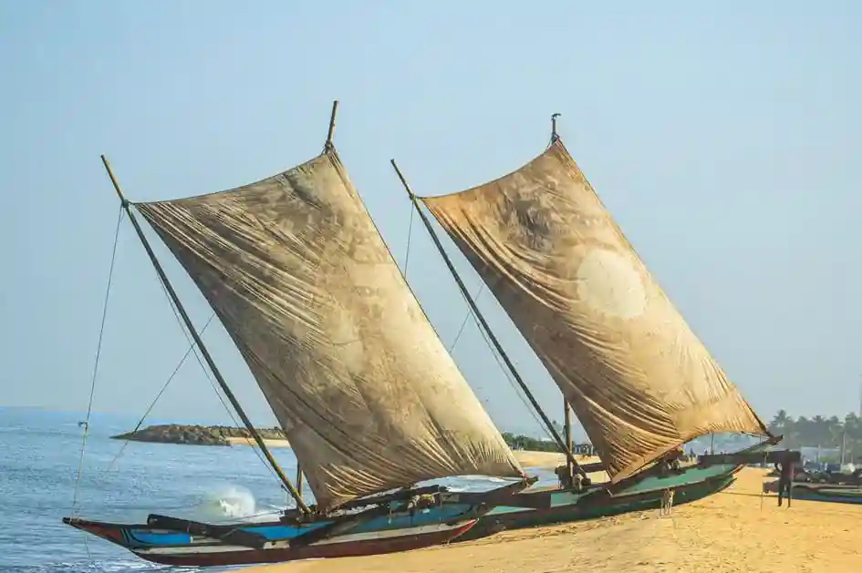 Traditional Fishing Boats - Negombo Beach