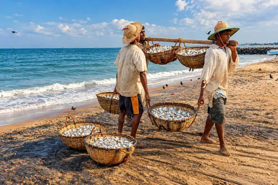 Fishermen - Negombo Beach