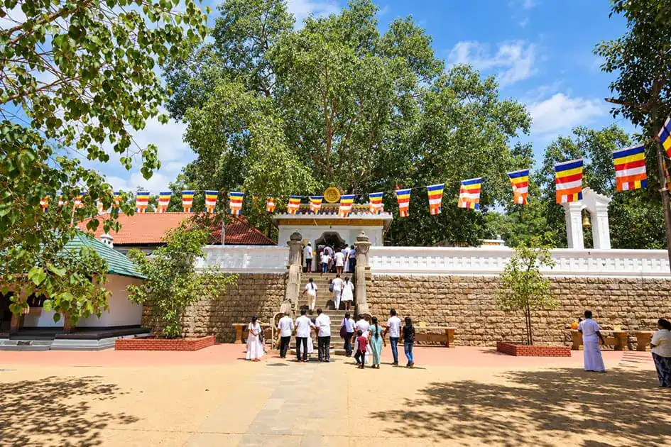 Sri Maha Bodhi - Anuradhapura