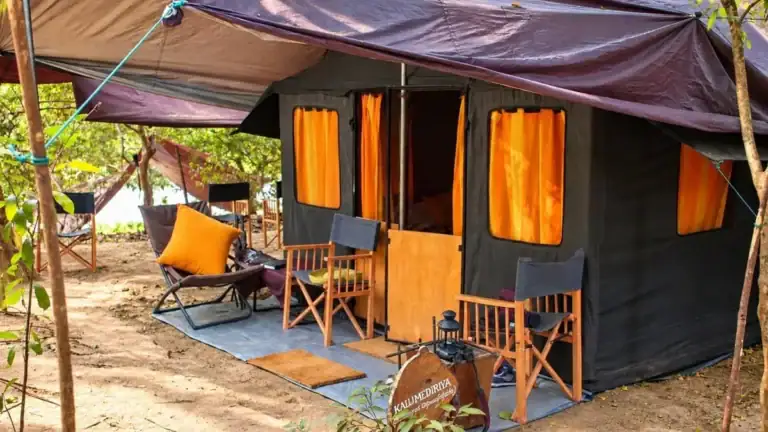 Camping in Yala