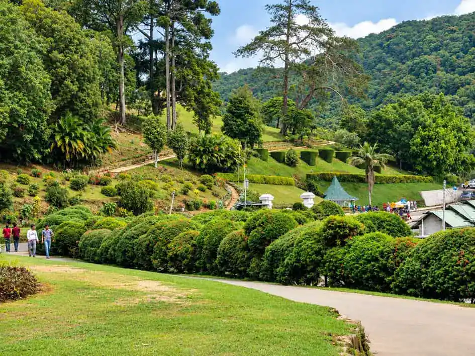 Hakgala Botanic Gardens - Nuwara Eliya