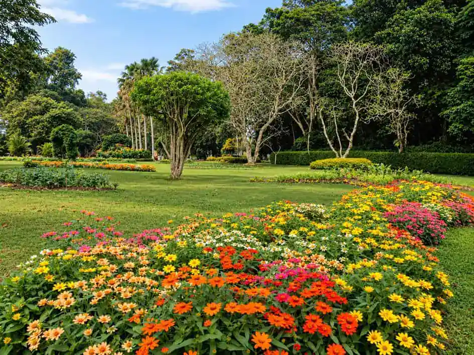 Henarathgoda Botanic Garden