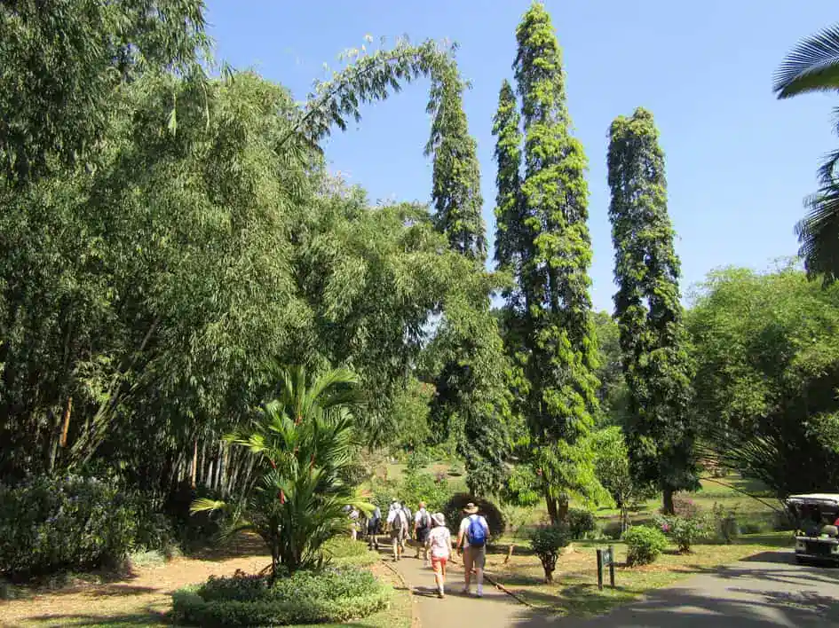 Peradeniya Botanic Gardens
