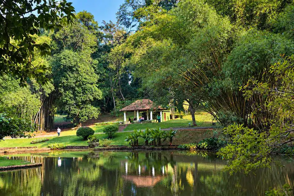 Royal Botanic Gardens, Peradeniya - One of the best botanical gardens in Sri Lanka