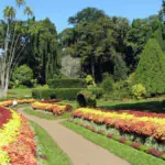 Royal Botanic Gardens in Peradeniya